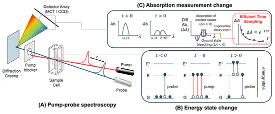 Efficient Time Sampling Strategy for Transient Absorption Spectroscopy